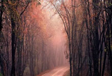 开云体育在线-乔什·雅各佈(bù)斯(sī)冲锋再现!能否超越NFL多(duō)次达阵纪录?