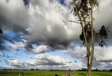 开云-版本(běn)更(gèng)新後(hòu)“变冷(lěng)淡”?DeepSeek回应