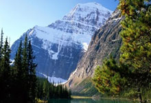 开云下载-王曼(màn)昱因伤退出乒乓球后续比赛