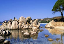 开云体育在线-NFL测验：你能列出每队最后一位10达阵球(qiú)员吗？