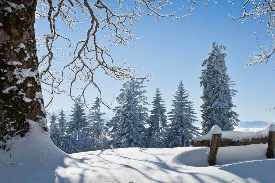 中国电竞战队夺得世界冠军