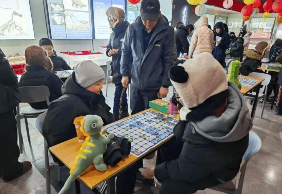 伊春市嘉荫县神州恐龙博物馆“赛龙棋”比赛收官